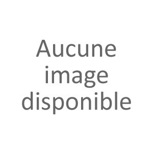 essaims d'abeilles sur 5 cadres